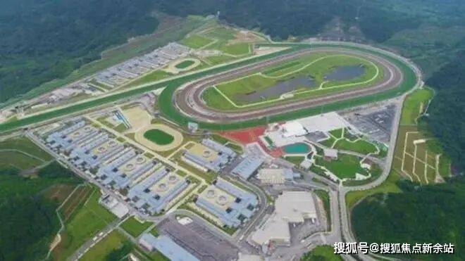 天花板”感受山间温泉的温暖疗愈！从都国际欢迎您的莅临品鉴j9平台体验水墨丹青+雍容宁静的完美假期！打卡从化温泉“(图11)