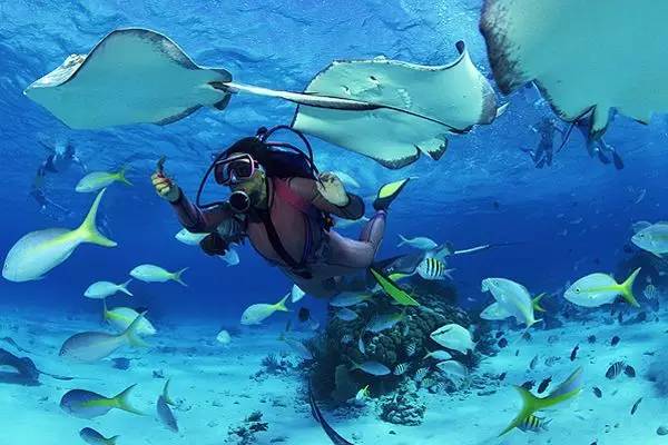 艳遇姐妹们的旅行也很精彩！九游会j9登陆邮轮上没有(图11)