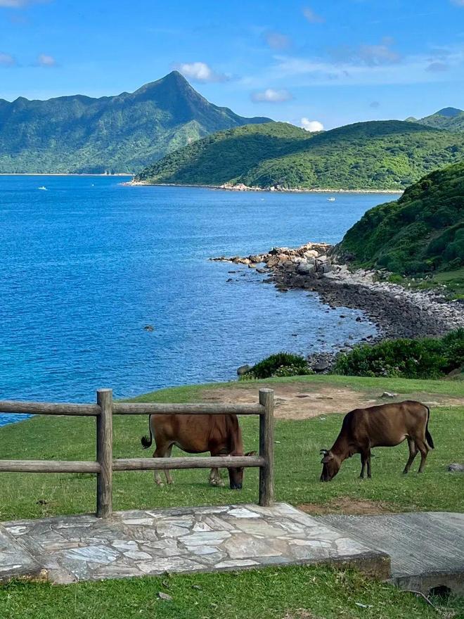 二段徒步露营、打卡网红破边洲、游览塔门岛j9国际站深港跨年徒步丨香港麦理浩径第(图19)